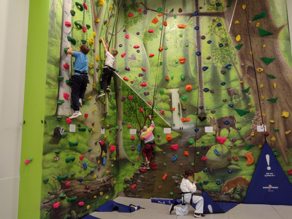 4 students climbing.jpg